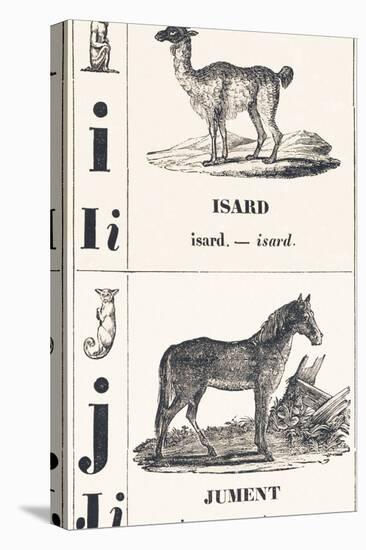 I J: Isard — Jument, 1850 (Engraving)-Louis Simon (1810-1870) Lassalle-Premier Image Canvas