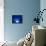 I Love Blue-Philippe Sainte-Laudy-Premier Image Canvas displayed on a wall