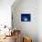 I Love Blue-Philippe Sainte-Laudy-Premier Image Canvas displayed on a wall