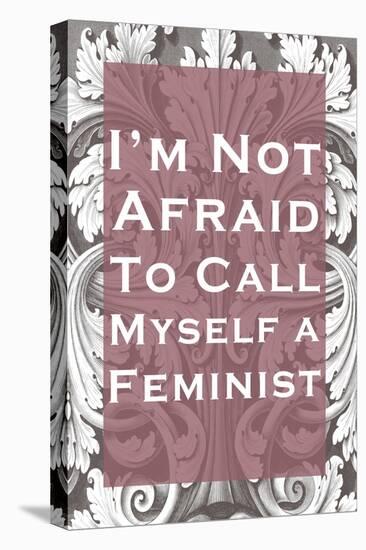 I'm Not Afraid to Call Myself a Feminist-null-Stretched Canvas