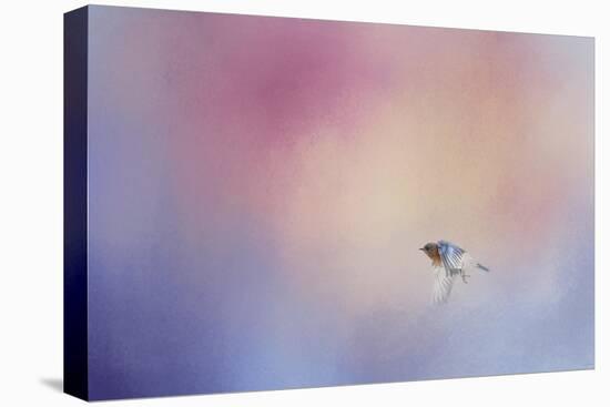 I Wish I Could Fly - Bluebird 1-Jai Johnson-Premier Image Canvas