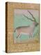 Ibex, Mughal-null-Premier Image Canvas
