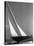 Ibis Yacht Cruising, 1936-Edwin Levick-Stretched Canvas
