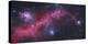 Ic 2177, the Seagull Nebula-Stocktrek Images-Premier Image Canvas