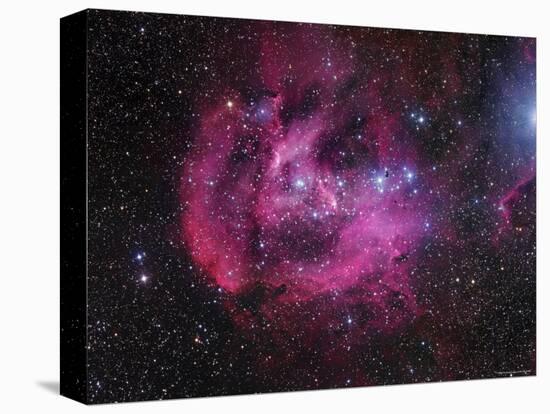 IC 2944 Running Chicken Nebula-Stocktrek Images-Premier Image Canvas