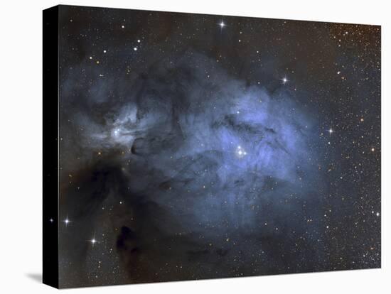 Ic 4603 Is a Blue Reflection Nebula in Ophiuchius-null-Premier Image Canvas