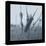 Ice Cattail 1-Gordon Semmens-Premier Image Canvas