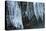 Ice Cicles Over Beaver Dam-Anthony Paladino-Premier Image Canvas