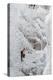 Ice Climbers Scaling Vertical Ice in Ouray Ice Park Near Ouray, Colorado-Sergio Ballivian-Premier Image Canvas