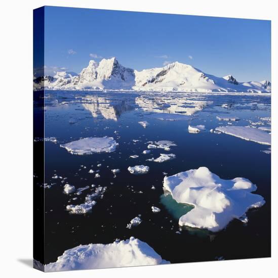 Ice Floe on the Antarctic Peninsula-Geoff Renner-Premier Image Canvas