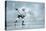 Ice Hockey Player on the Ice-yuran-78-Premier Image Canvas