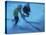 Ice Hockey-null-Premier Image Canvas