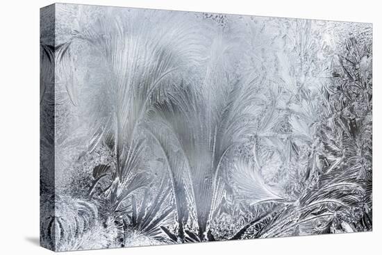 Ice Patterns on a Winter Window-abracadabra99-Stretched Canvas