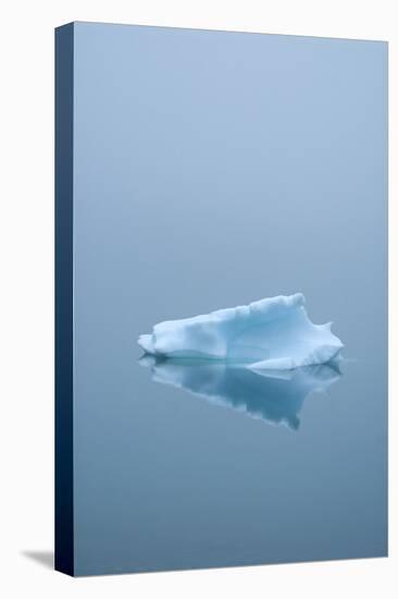 Iceberg Floats on Erik's Fjord in Southern Greenland-David Noyes-Premier Image Canvas