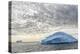 Iceberg in Disko Bay (Qeqertarsuup Tunua) near Ilulissat. Greenland-Martin Zwick-Premier Image Canvas