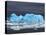 Iceberg, Western Antarctic Peninsula, Antarctica-Steve Kazlowski-Premier Image Canvas