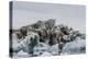 Iceberg with Moraine Material and Icicles at Booth Island, Antarctica, Polar Regions-Michael Nolan-Premier Image Canvas