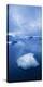 Icebergs 1 Vertical-Moises Levy-Stretched Canvas
