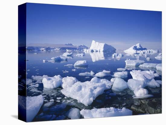 Icebergs and Brash Ice, Antarctica, Polar Regions-Geoff Renner-Premier Image Canvas