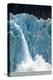 Icebergs Calving from Glacier, Alaska-null-Premier Image Canvas