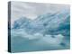 Icebergs drifting in the fjords of southern Greenland, Denmark-Martin Zwick-Premier Image Canvas