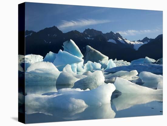 Icebergs Floating in Alsek Lake. Glacier Bay National Park, Ak.-Justin Bailie-Premier Image Canvas