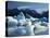 Icebergs Floating in Alsek Lake. Glacier Bay National Park, Ak.-Justin Bailie-Premier Image Canvas