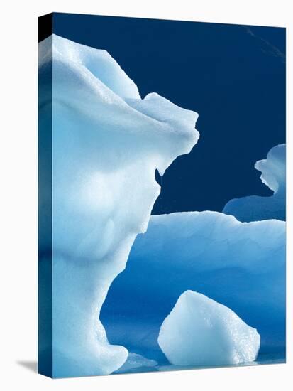 Icebergs Floating in Alsek Lake. Glacier Bay National Park, Ak.-Justin Bailie-Premier Image Canvas
