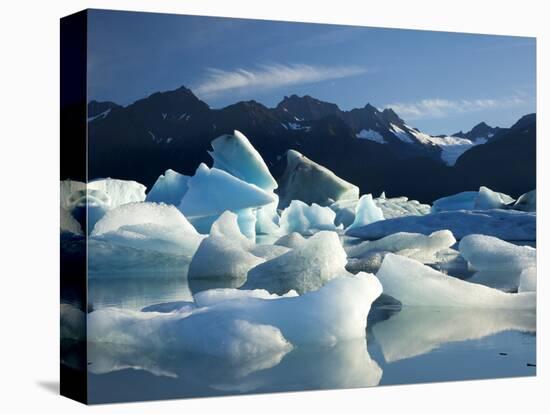 Icebergs Floating in Alsek Lake. Glacier Bay National Park, Ak.-Justin Bailie-Premier Image Canvas