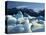 Icebergs Floating in Alsek Lake. Glacier Bay National Park, Ak.-Justin Bailie-Premier Image Canvas