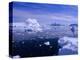 Icebergs from the Icefjord, Ilulissat, Disko Bay, Greenland, Polar Regions-Robert Harding-Premier Image Canvas