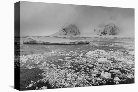 Icebergs in the Herrera Channel, Antarctica, Polar Regions-Sergio Pitamitz-Premier Image Canvas