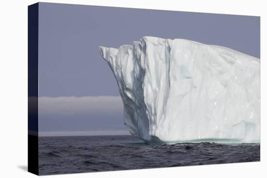 Icebergs, Kings Cove, Newfoundland, Canada-Greg Johnston-Premier Image Canvas