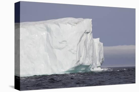 Icebergs, Kings Cove, Newfoundland, Canada-Greg Johnston-Premier Image Canvas