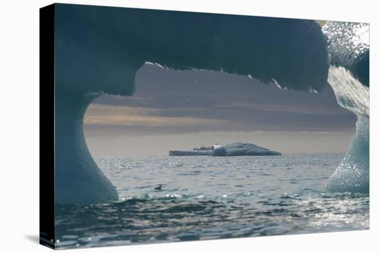 Icebergs, Nunavut and Northwest Territories, Canada-Raul Touzon-Premier Image Canvas