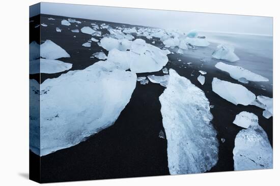 Icebergs on the beach at Jokulsarlon, Iceland, Polar Regions-Miles Ertman-Premier Image Canvas