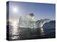 Icebergs , the Vatnajokull National Park, Iceland-Martin Zwick-Premier Image Canvas