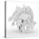 Iced Tree-Philippe Sainte-Laudy-Premier Image Canvas