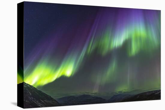 Iceland, Akureyri. Northern Lights glowing.-Ellen Goff-Premier Image Canvas