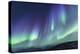 Iceland, Akureyri. Northern Lights glowing.-Ellen Goff-Premier Image Canvas