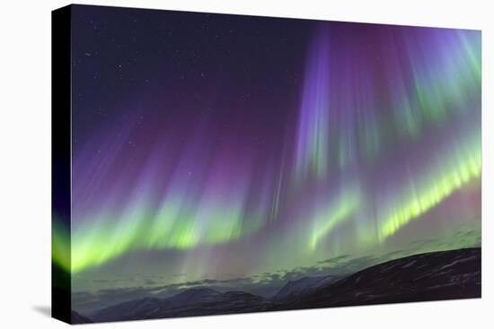Iceland, Akureyri. The northern lights glow in unbelievable colors.-Ellen Goff-Premier Image Canvas