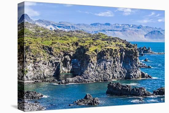 Iceland, Arnarstapi, basalt rock cliffs at the volcanic cliff coast of Arnarstapi on the Snaefellsn-Miva Stock-Premier Image Canvas