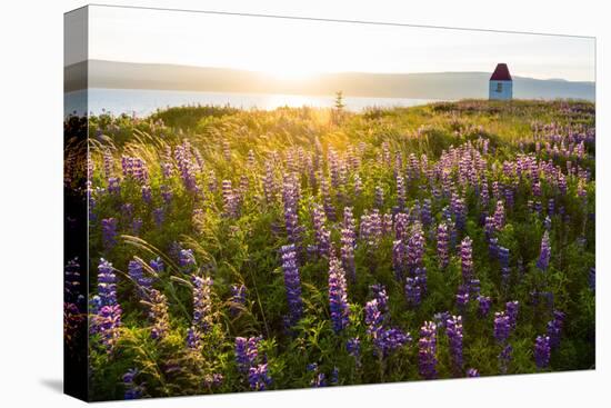 Iceland, Budardalur-Catharina Lux-Premier Image Canvas