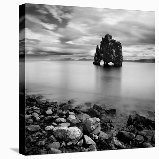 Iceland Dinosaur-Nina Papiorek-Premier Image Canvas