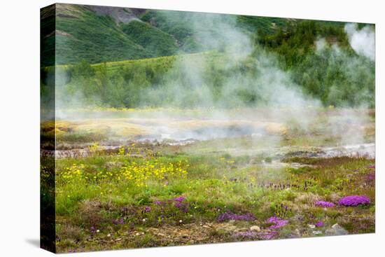 Iceland, Geothermal Field, Geyser-Catharina Lux-Premier Image Canvas