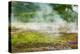 Iceland, Geothermal Field, Geyser-Catharina Lux-Premier Image Canvas