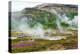 Iceland, Geothermal Field, Geyser-Catharina Lux-Premier Image Canvas