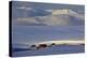 Iceland, Iceland, North-East, Winter Scenery with Saltvik, Federal Highway 87 to Husavik-Bernd Rommelt-Premier Image Canvas