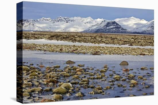 Iceland, Iceland, the South, Moss Padding, Skaftafell, Skaftafell National Park-Bernd Rommelt-Premier Image Canvas