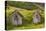Iceland, Nupsstadur Turf Farmstead. Old homes covered with turf for protection and insulation.-Ellen Goff-Premier Image Canvas